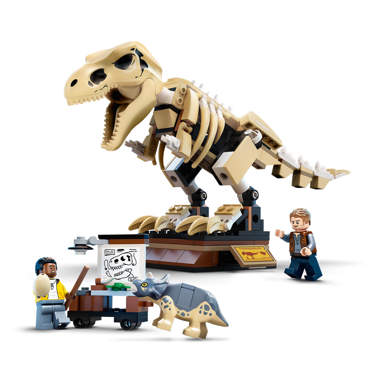 Postavte si výstavu fosilií T-rexe